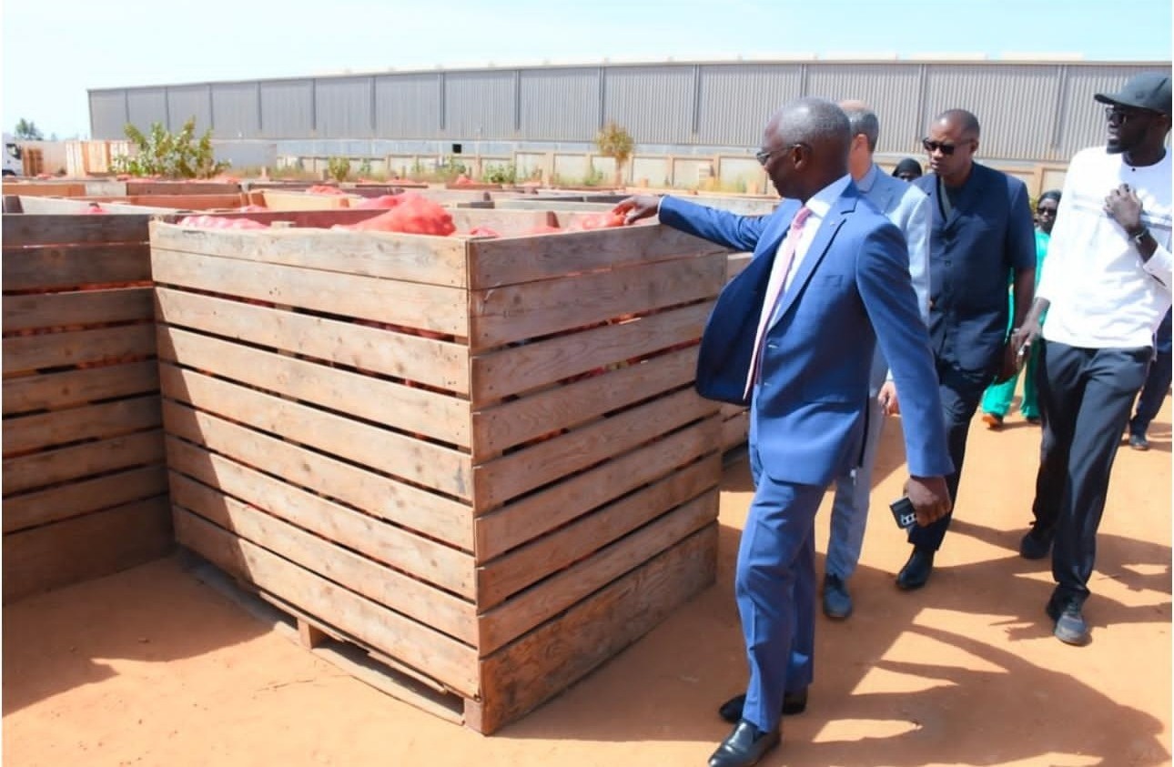 Le Ministre Mabouba Diagne et l'Ambassadrice du Royaume des Pays-Bas devant les sacs d'oignons stockés à Diamniadio, 11 avril 2025